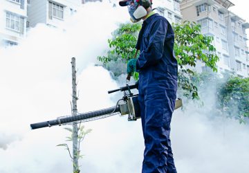 fumigation pest control fumigation pest control
